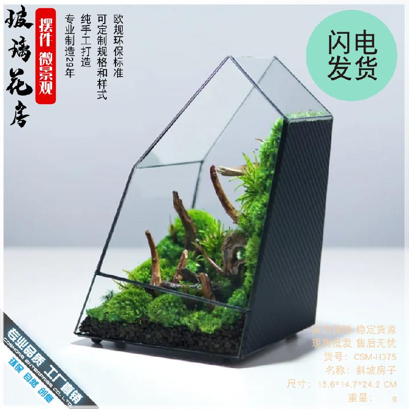 Bể rừng mưa Terrarium kính (DG-34)