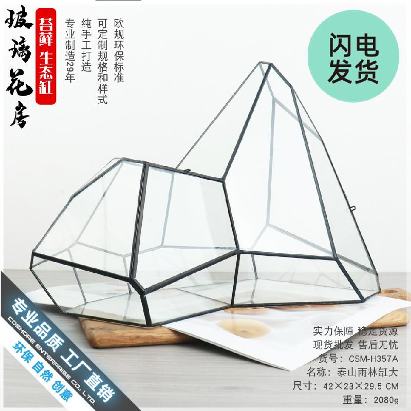 Bể rêu cảnh rừng nhiệt đới hình học (DG-61)