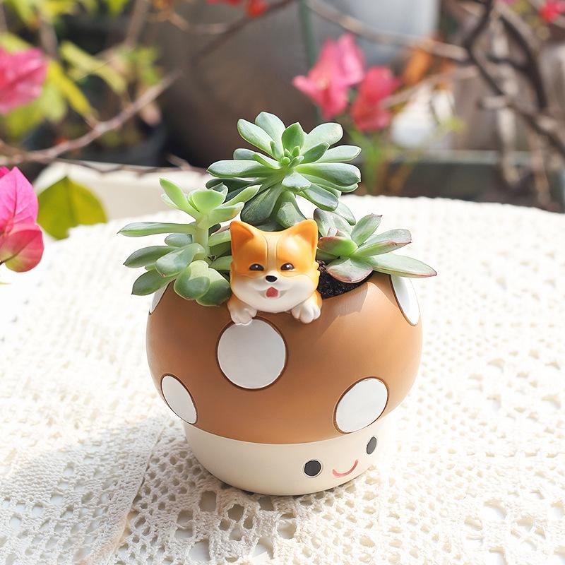 Tượng nhím hoạt hình resin, đồ trang trí sân vườn, ban công, cửa sổ và tiểu cảnh (RG-165)
