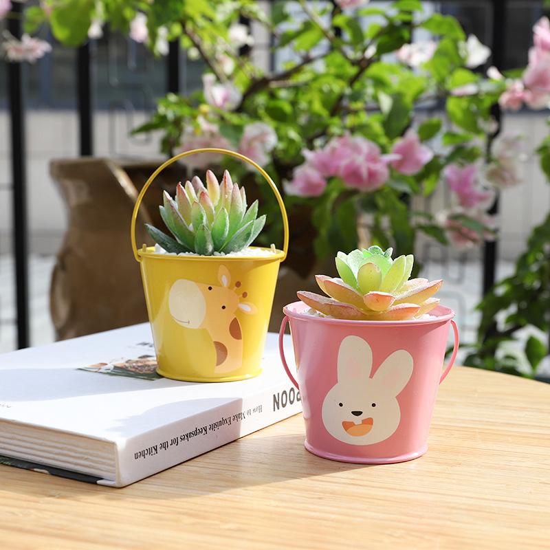 Chậu cây mọng nước hoạt hình mini, chậu sắt để bàn, trang trí ban công và tiểu cảnh (RG-129)