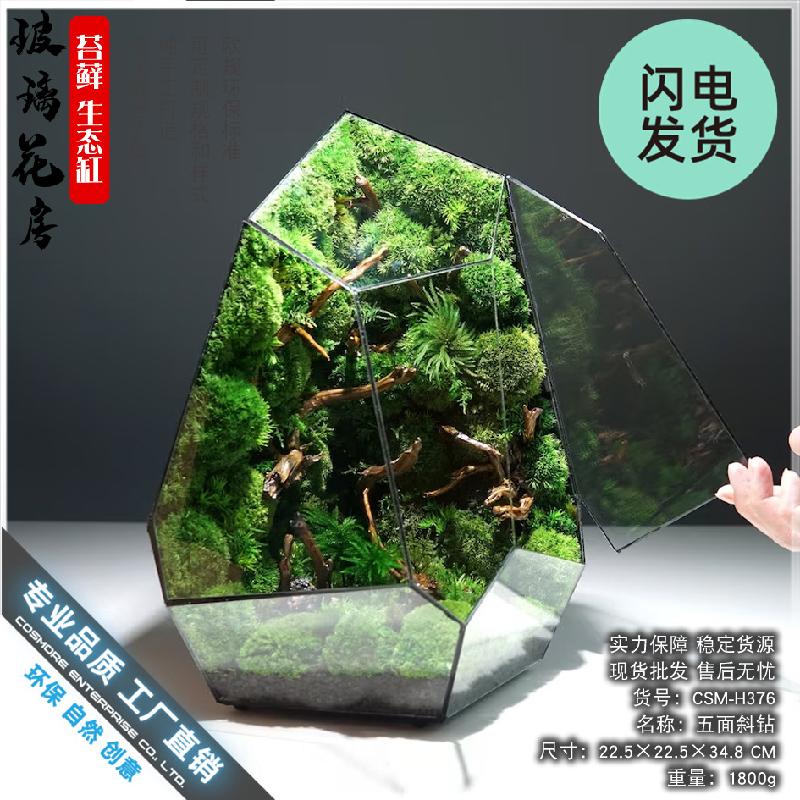 Nhà kính Terrarium hình học DIY (DG-59)