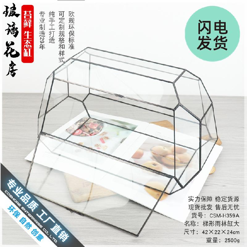 Bể kính thủy sinh Terrarium, bể rừng mưa mini (DG-56)