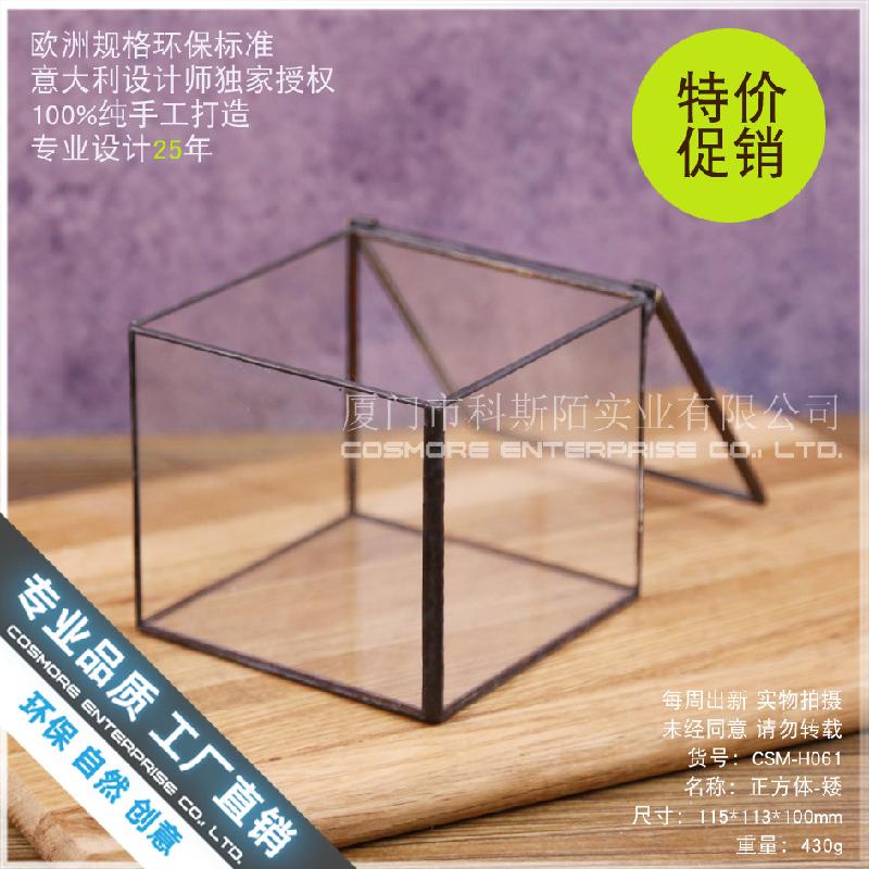 Hộp kính rêu cảnh, bình sinh thái rừng mini (DG-63)