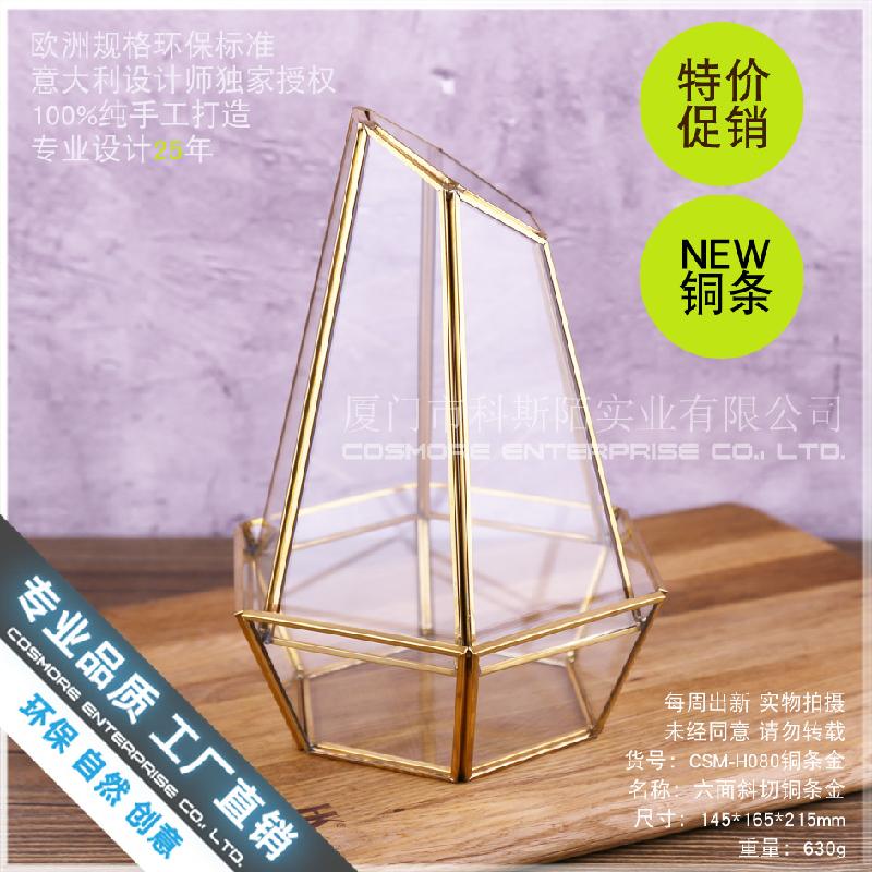Nhà kính 6 mặt cắt, Terrarium rêu cảnh (DG-167)