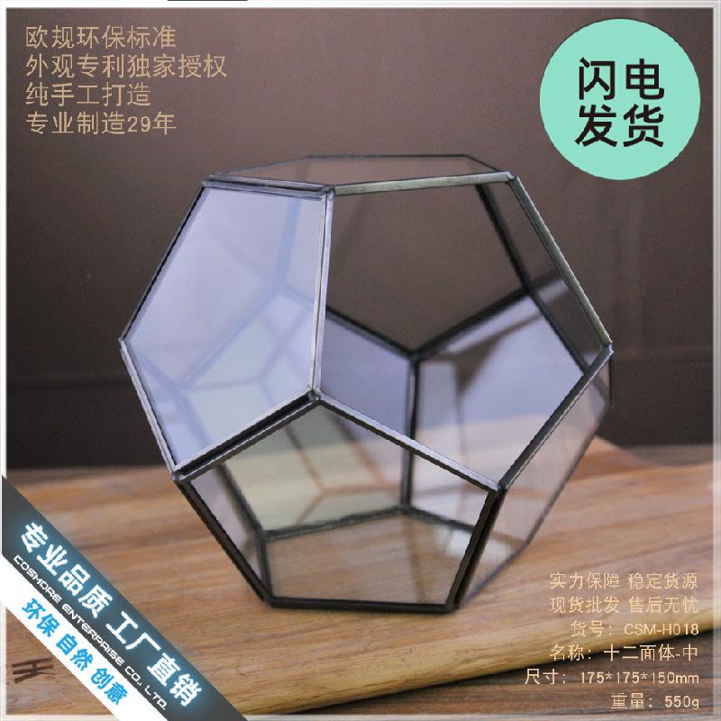 Nhà kính 12 mặt Terrarium rêu cảnh (DG-17)