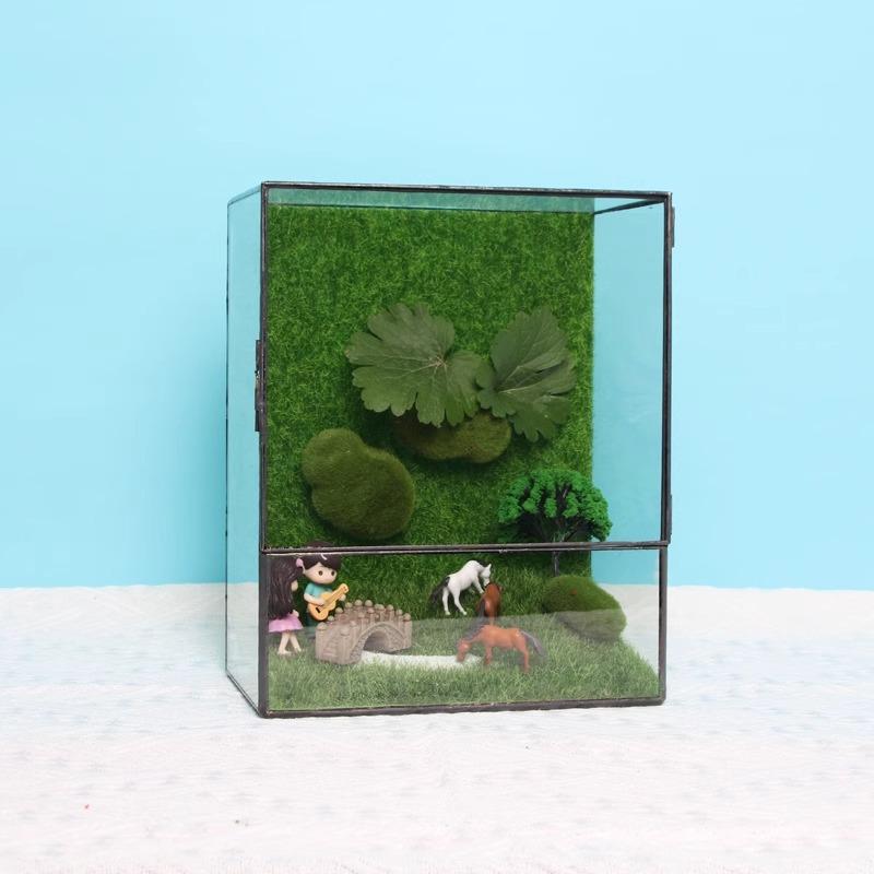 Nhà kính chữ nhật rêu cảnh mini (DG-12)