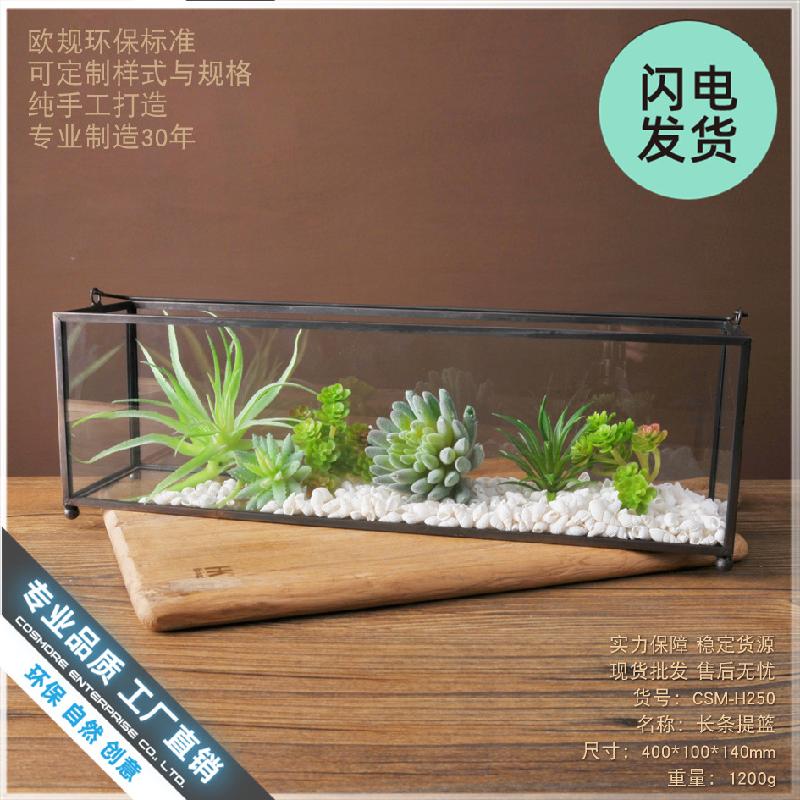 Nhà kính cây xanh mini decor nội thất (DG-84)