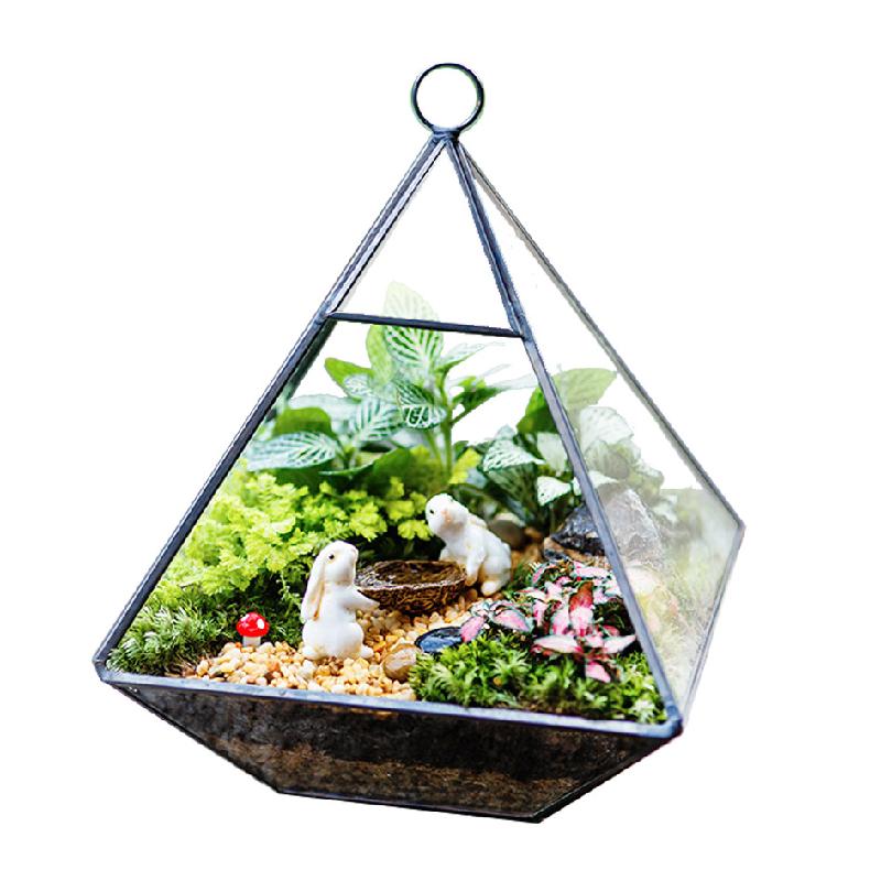Chụp kính hoa bất tử Terrarium (DG-36)