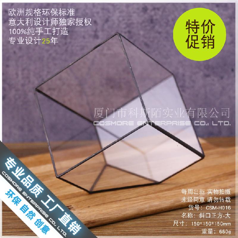 Nhà kính vuông rêu cảnh (DG-24)