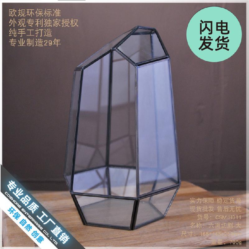 Bình kính Terrarium rêu cảnh (DG-22)