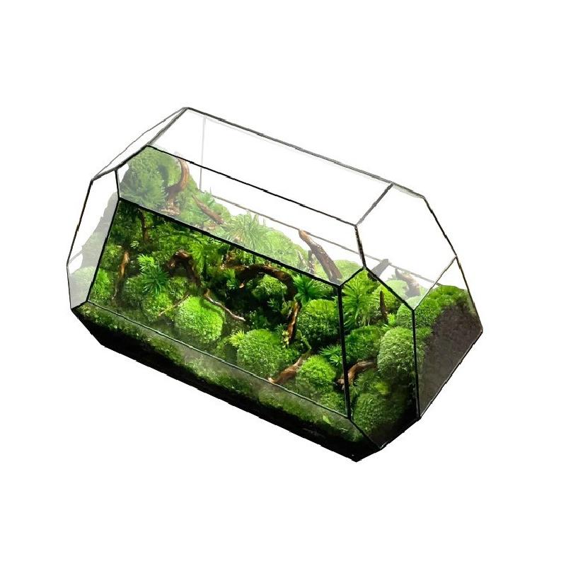 Bể kính thủy sinh Terrarium, bể rừng mưa mini (DG-56)