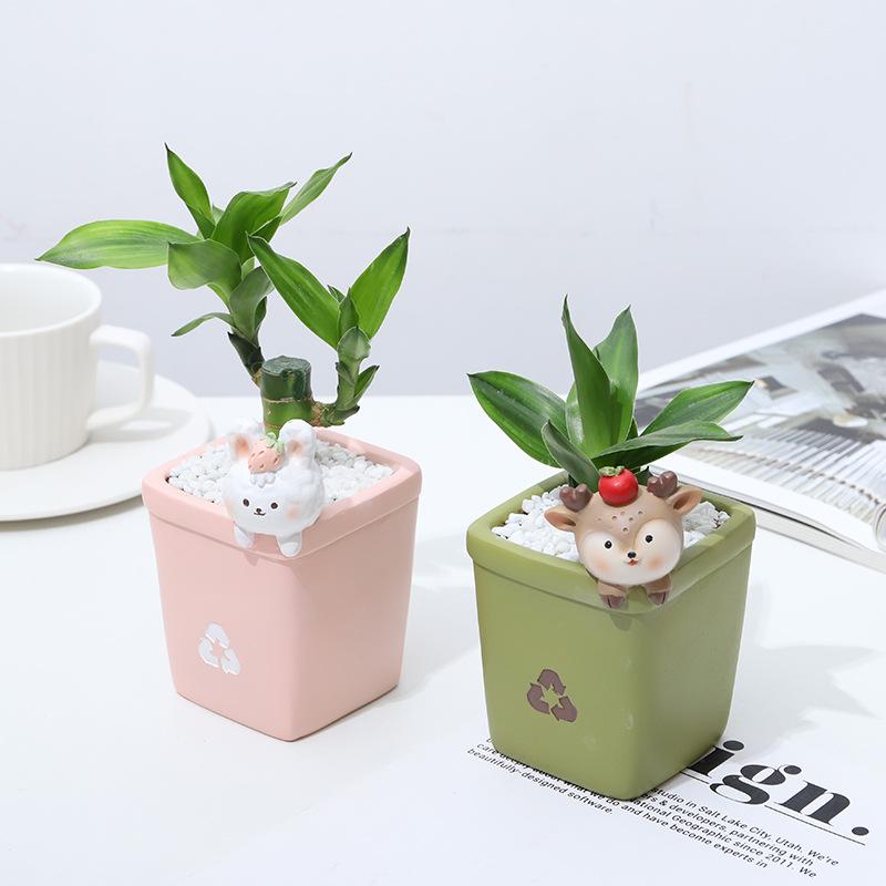 Chậu cây mọng nước resin DIY phong cách Instagram, chậu mini thủ công, trang trí văn phòng và nhà (RG-140)