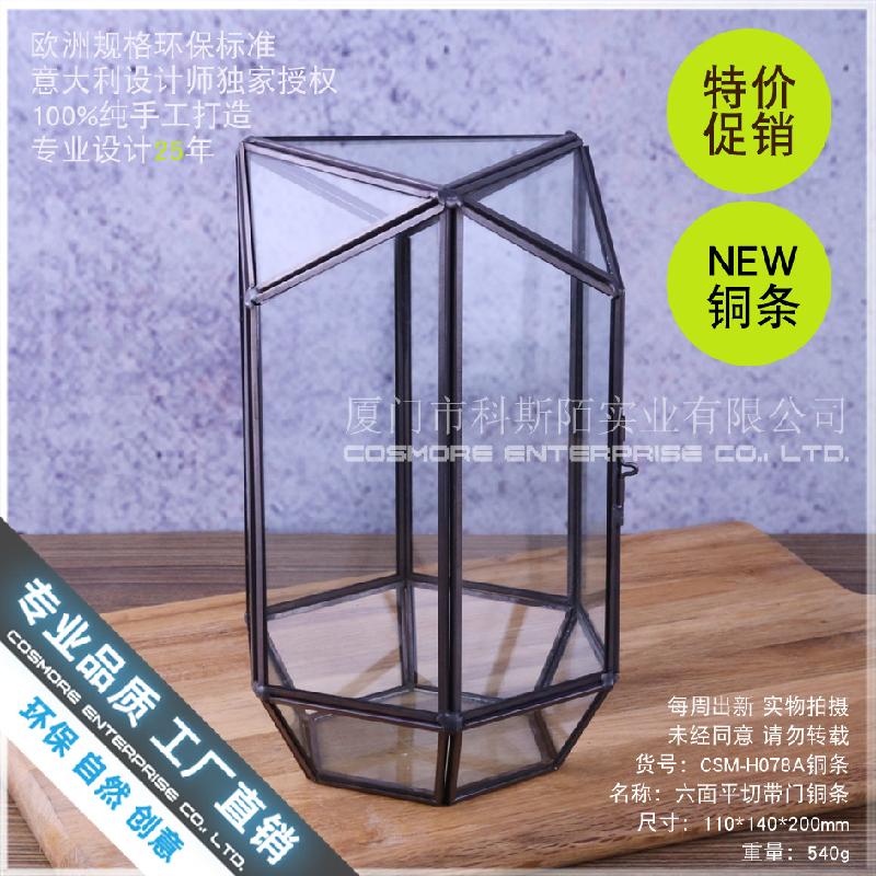 Hộp kính rêu cảnh, hộp quà cây cảnh (DG-181)