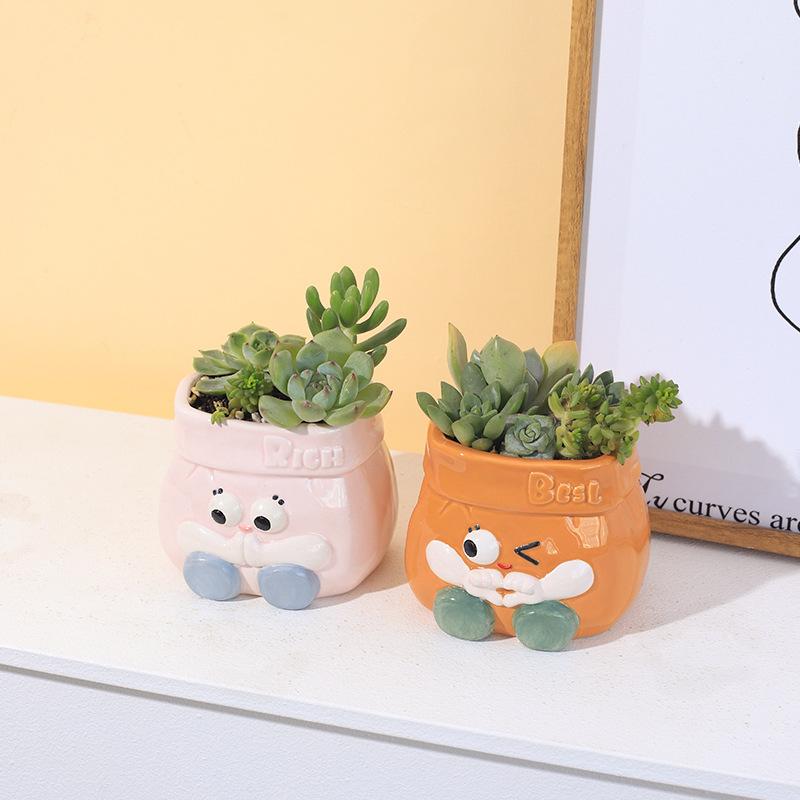 Chậu cây mọng nước bằng gốm hoạt hình, chậu mini để bàn, trang trí sân vườn và nhà (RG-135)