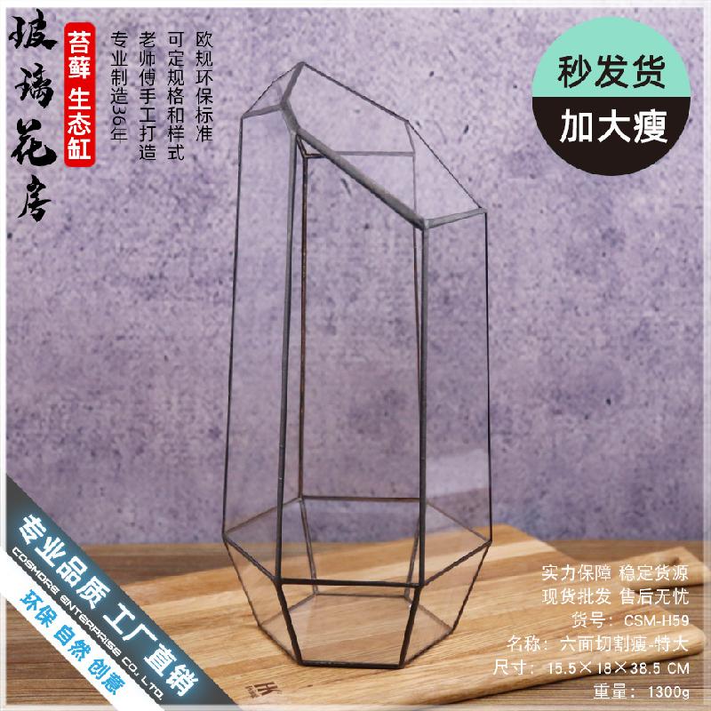 Nhà kính 6 mặt cắt lớn Terrarium (DG-230)