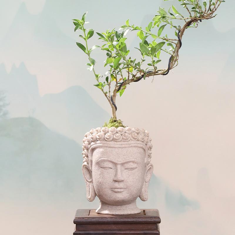 Chậu cây resin giả xi măng hình đầu Phật, chậu mọng nước mini, trang trí nhà và sân vườn (RG-110)
