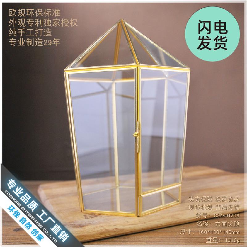 Nhà kính hình học, hộp hoa bất tử, Terrarium (DG-111)