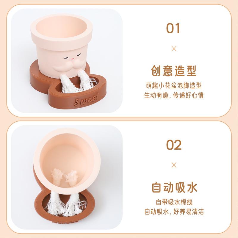 Chậu cây tự tưới tự hút nước, chậu cây mọng nước mini, chậu mặt cười trang trí nhà (RG-149)