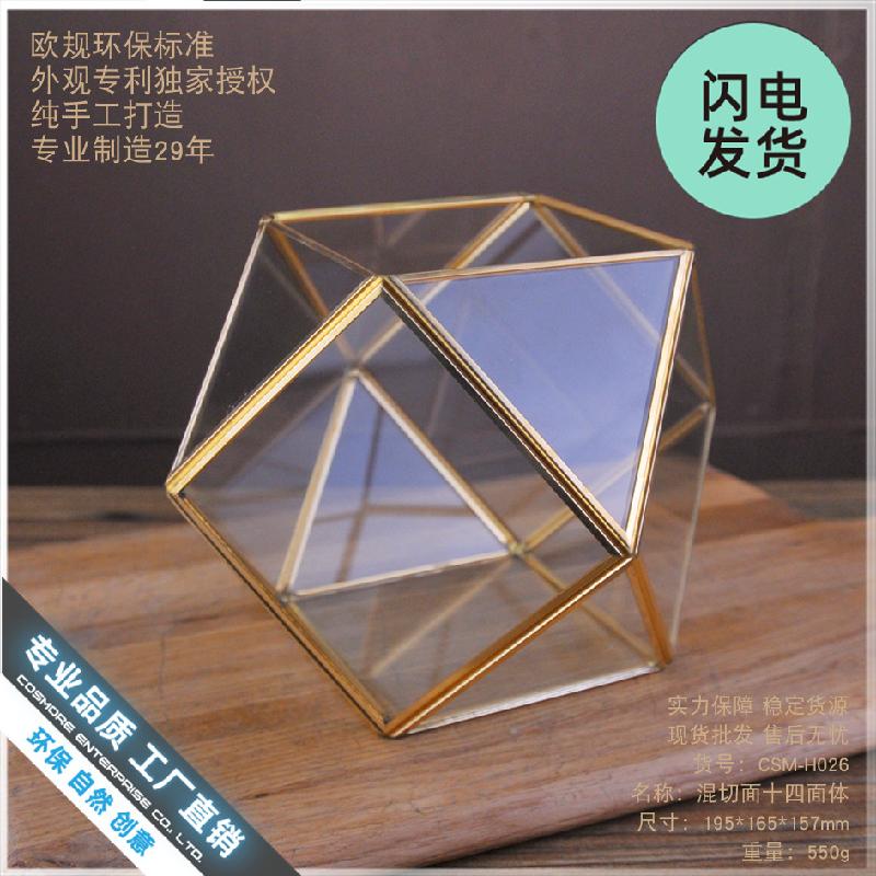 Bình sinh thái rêu cảnh DIY (DG-224)