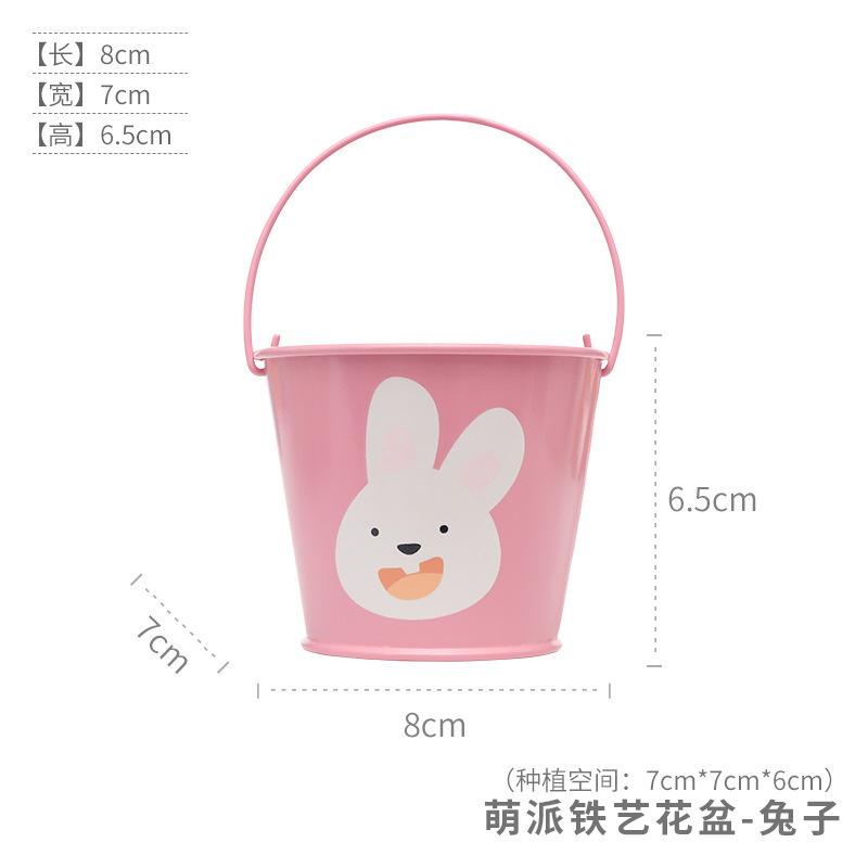 Chậu cây mọng nước hoạt hình mini, chậu sắt để bàn, trang trí ban công và tiểu cảnh (RG-129)
