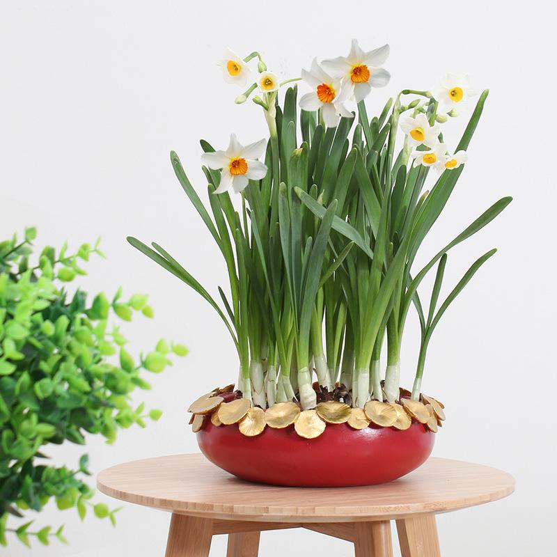 Chậu trồng sen không lỗ resin cỡ lớn, chậu thủy sinh trồng sen, thủy tiên, trầu bà và rau ban công (RG-130)