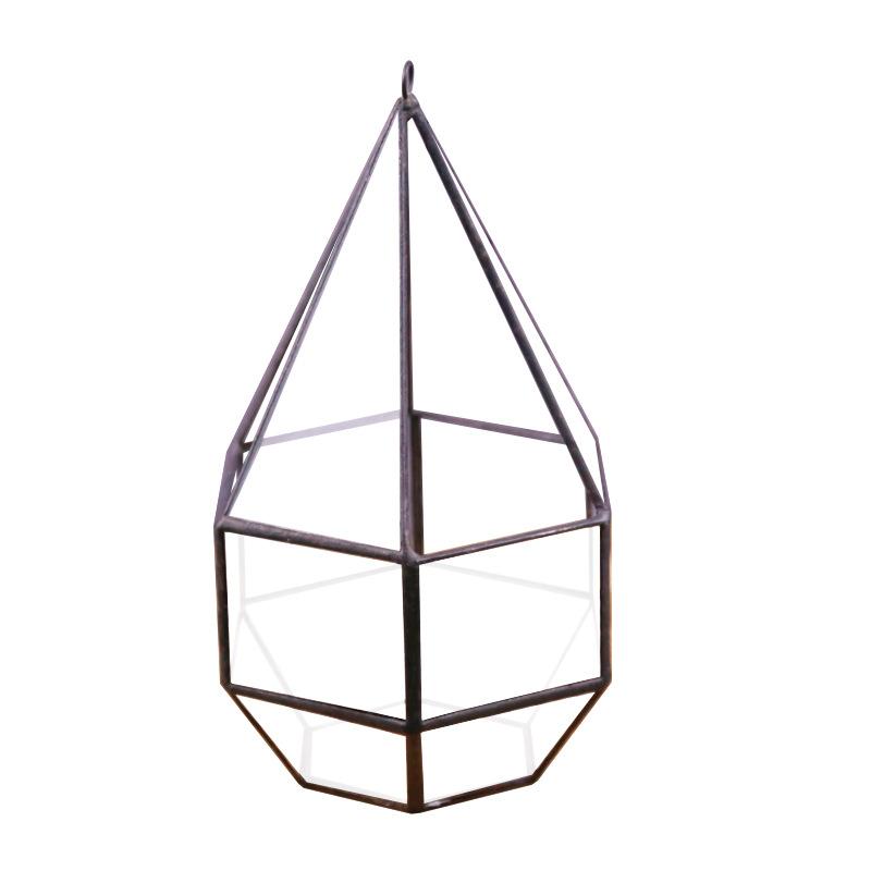 Bình kính DIY Terrarium sen đá (DG-216)