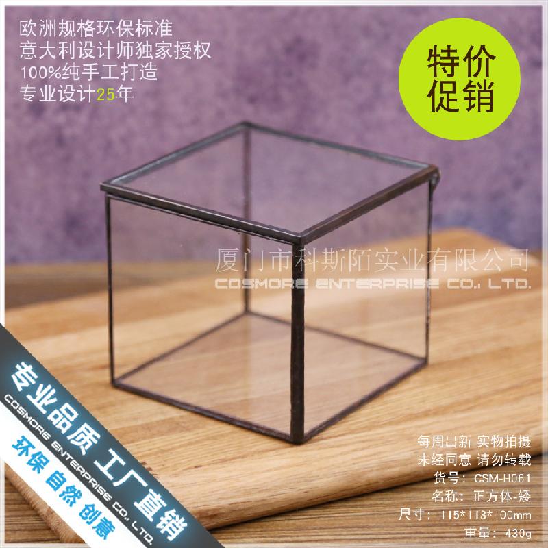 Hộp kính rêu cảnh, bình sinh thái rừng mini (DG-63)