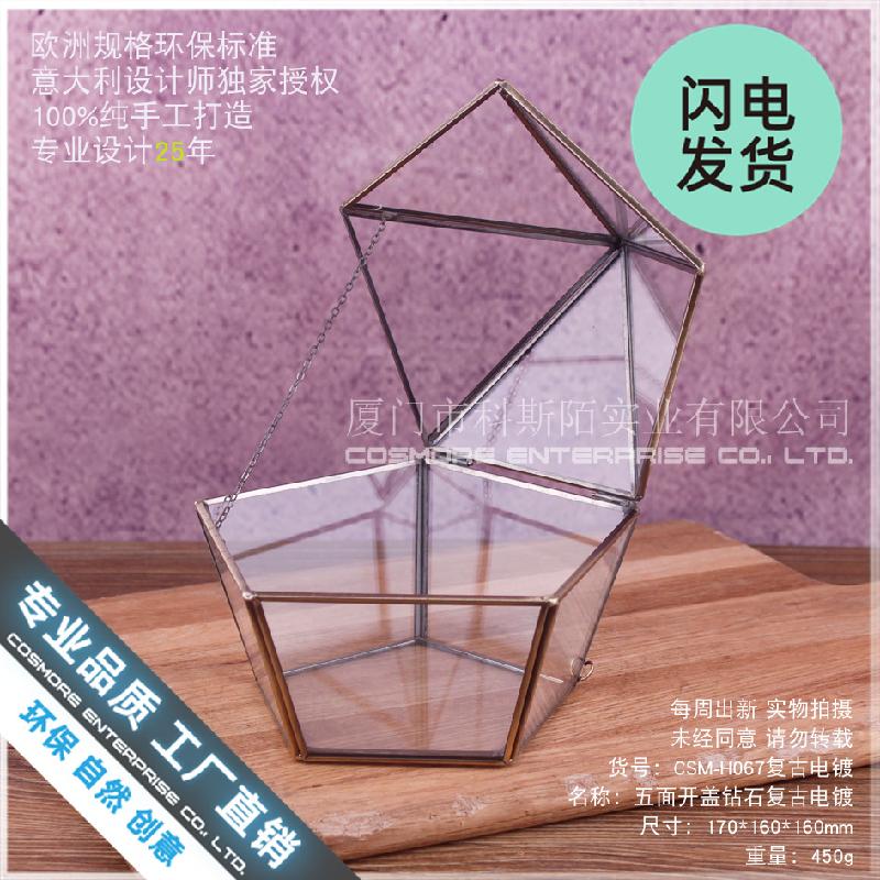 Hộp kính trang sức vintage, nhà kính hoa bất tử (DG-191)