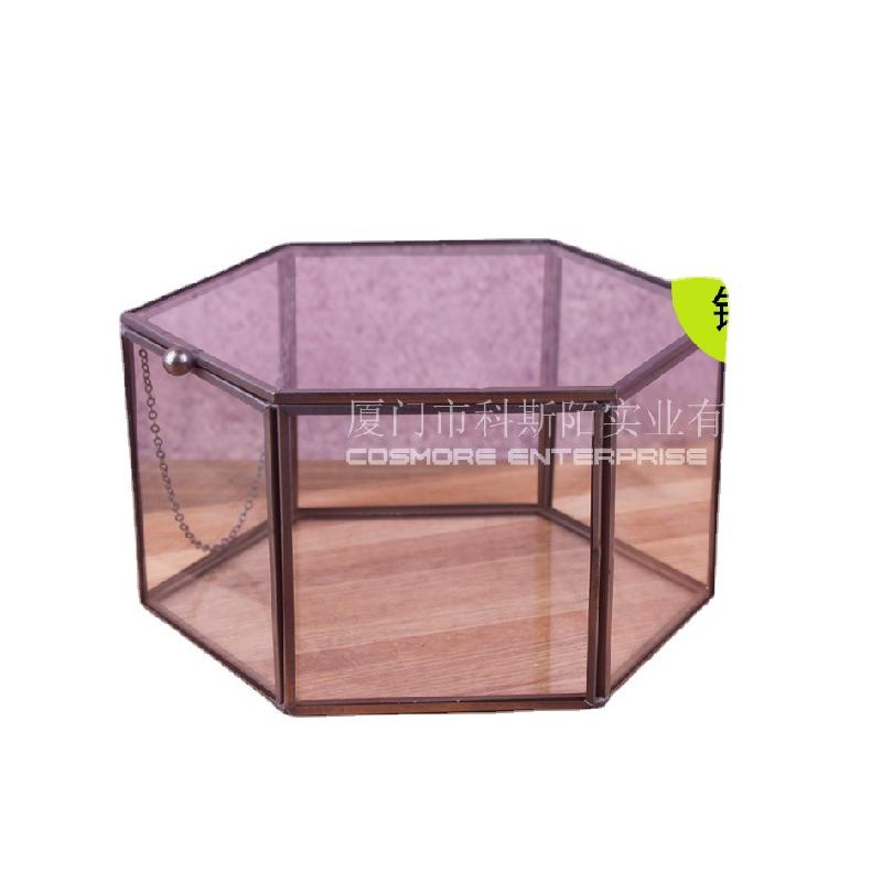 Nhà kính 6 mặt viền đồng, tiểu cảnh rêu (DG-185)