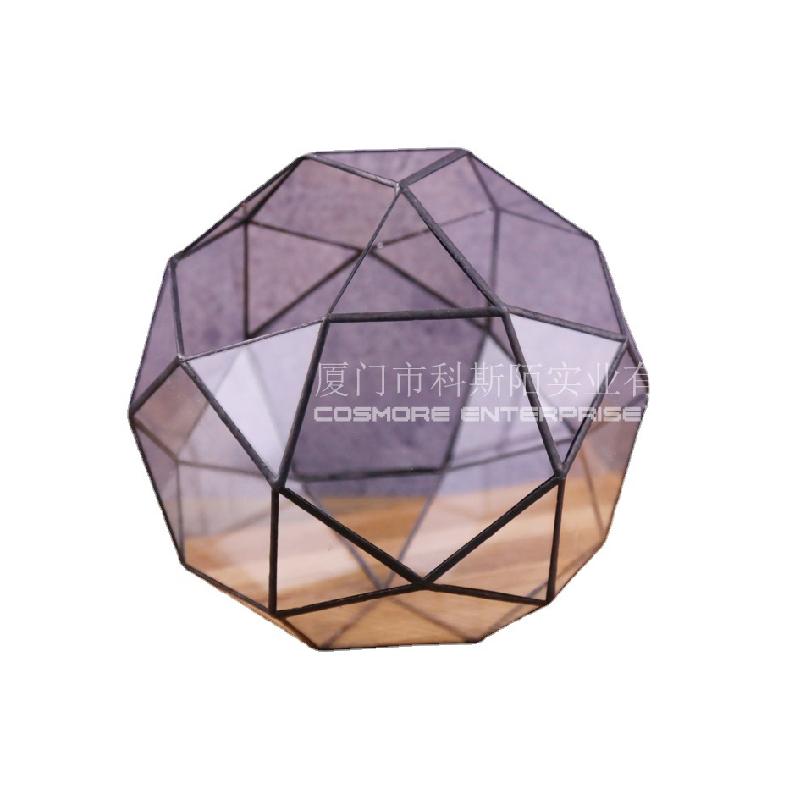 Bình Terrarium rừng mưa, hộp kính tạo cảnh 32 mặt (DG-51)
