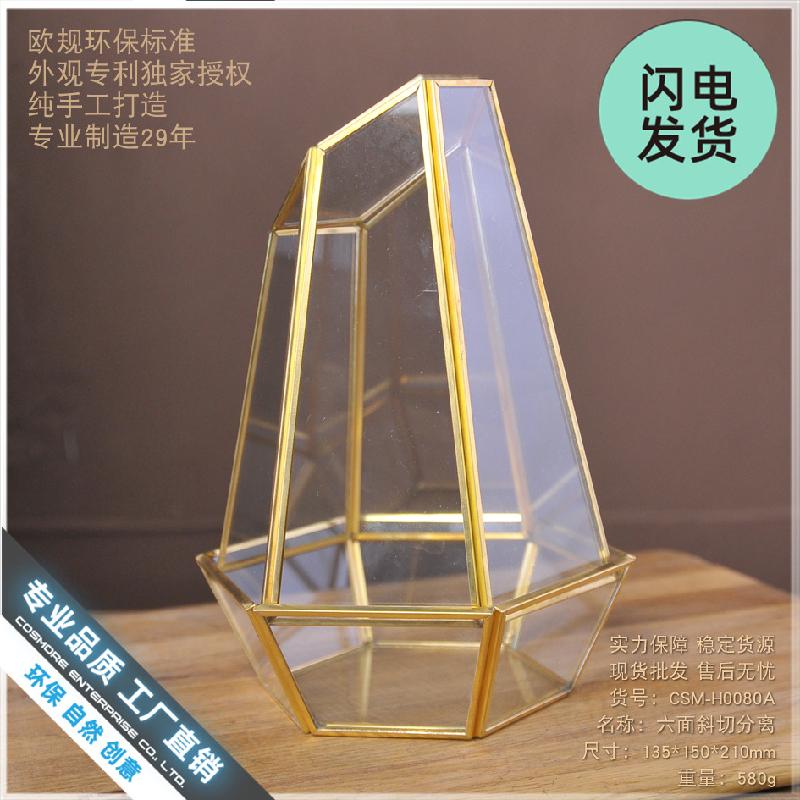 Nhà kính hình học viền đồng, hoa bất tử (DG-116)