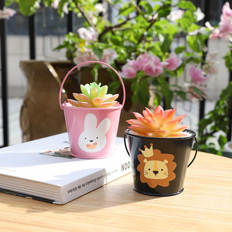 Chậu cây mọng nước hoạt hình mini, chậu sắt để bàn, trang trí ban công và tiểu cảnh (RG-129)