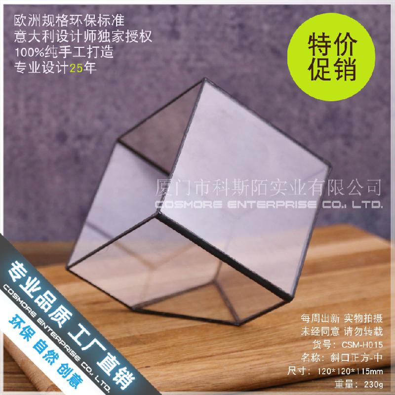 Nhà kính vuông Terrarium hoa bất tử (DG-227)