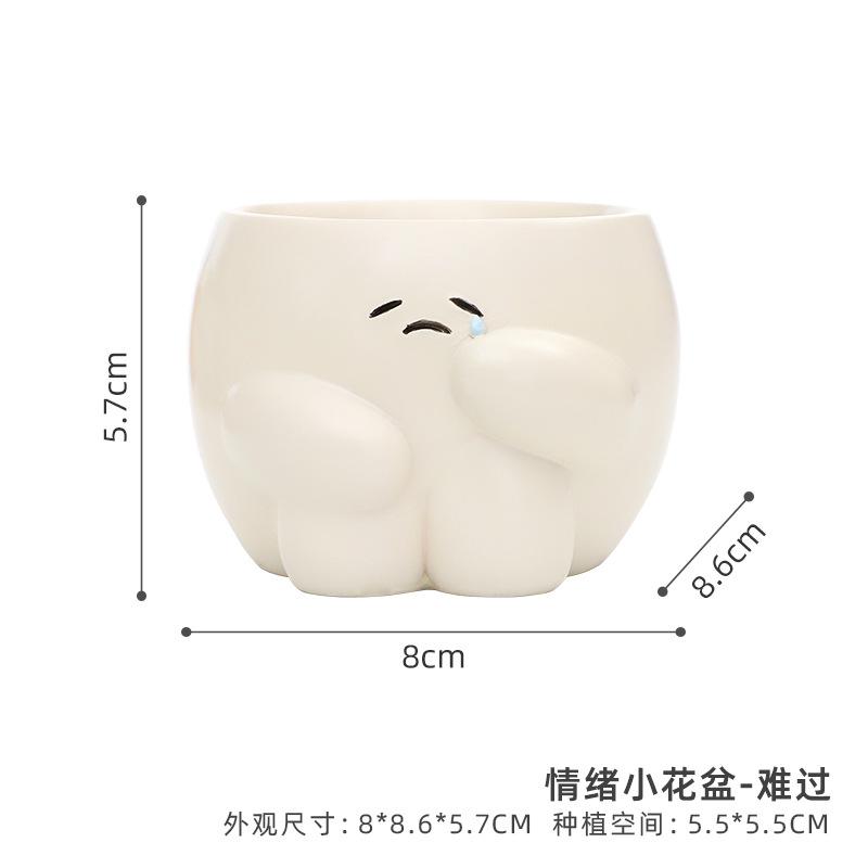 Chậu cây mọng nước mặt biểu cảm hoạt hình resin, chậu mini để bàn, trang trí sân vườn (RG-65)