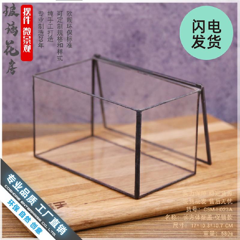 Bình sinh thái rêu cảnh mini (DG-3)