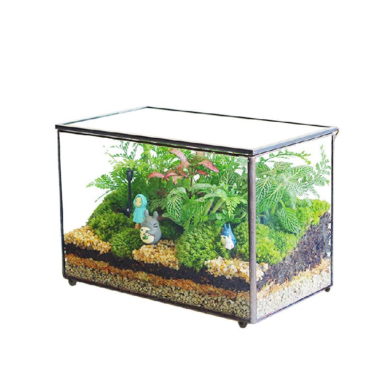 Nhà kính chữ nhật cao nắp lật, bể rêu cảnh (DG-58)