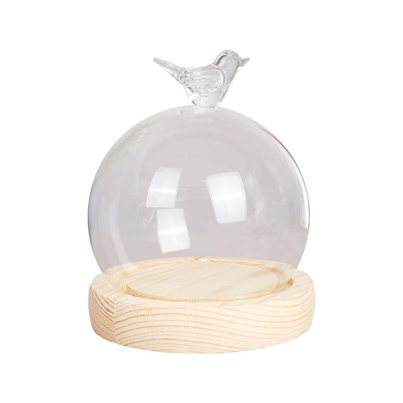 Chụp Thuỷ Tinh Hình Trụ Có Núm Tuỳ Chọn (MJA-17)