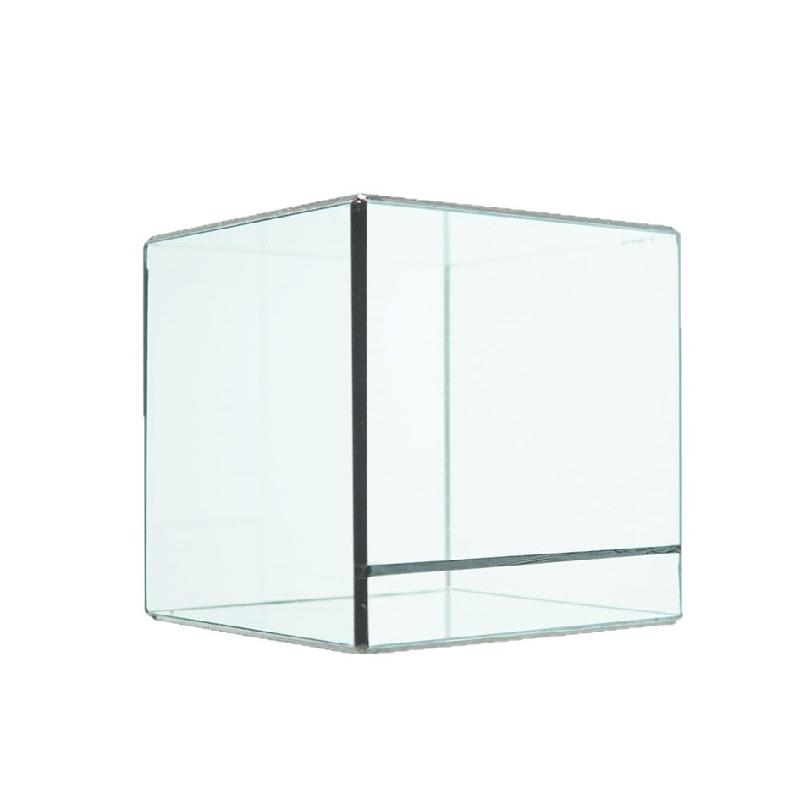 Hộp kính tiểu cảnh rừng mini (DG-23)