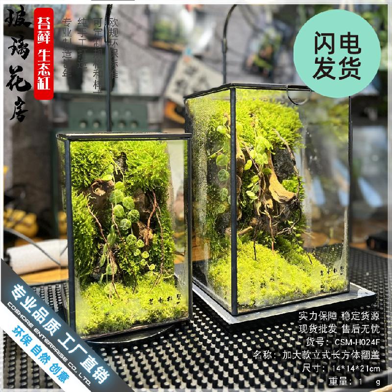 Bình Terrarium rêu cảnh DIY (DG-8)