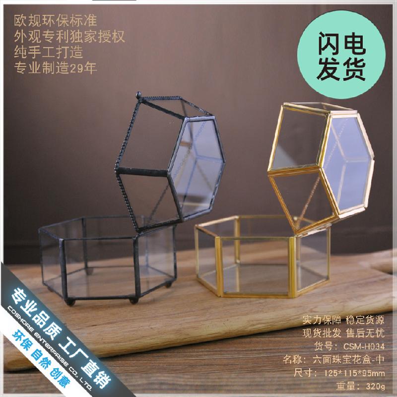 Hộp kính 6 mặt Terrarium sen đá (DG-217)