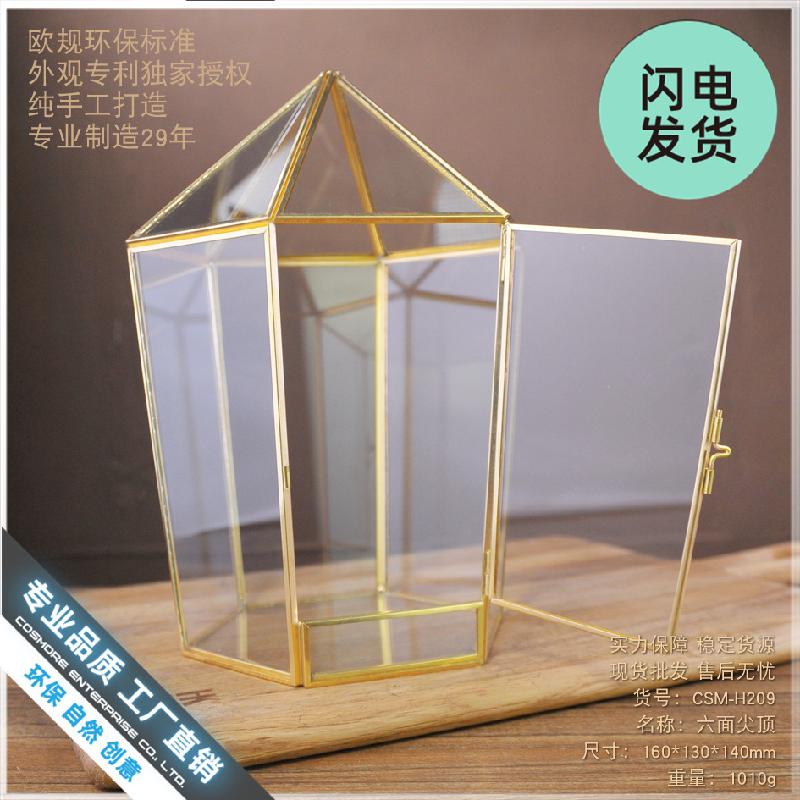 Nhà kính hình học, hộp hoa bất tử, Terrarium (DG-111)