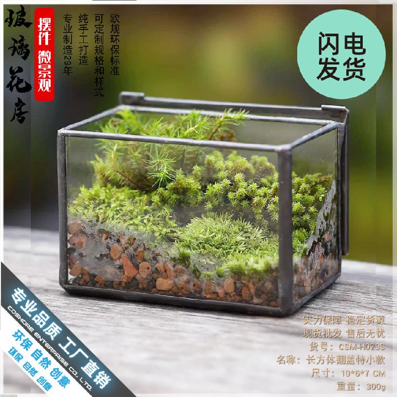 Hộp kính Terrarium rêu cảnh để bàn (DG-13)