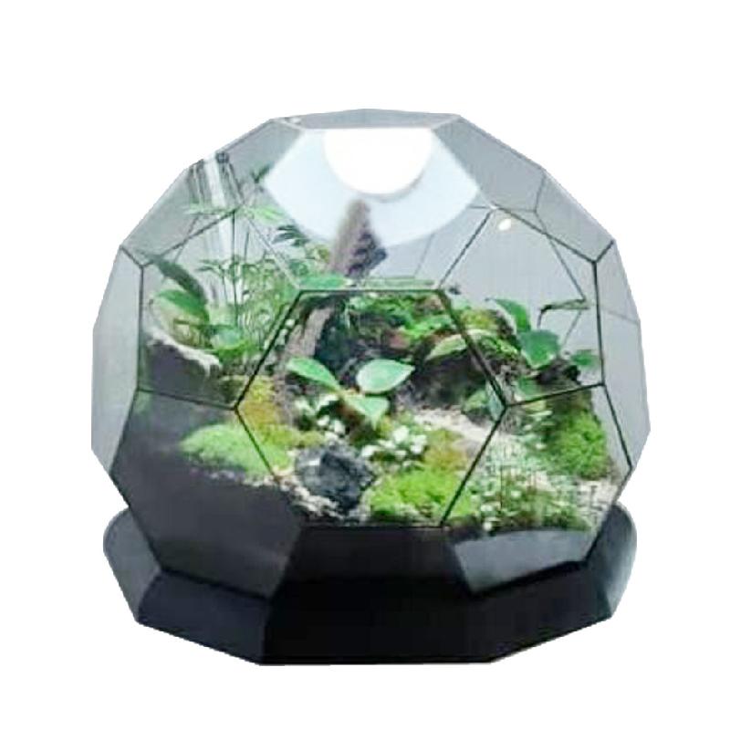 Nhà kính hình cầu Terrarium (DG-37)