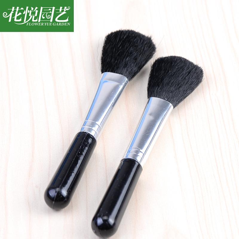 Cây mọng nước, chổi rêu mini - dụng cụ